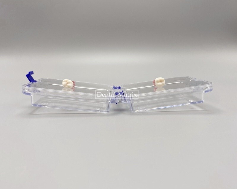 10 Pcs Denture False Teeth Membrane Case Container Hinged Display Box Jewelry