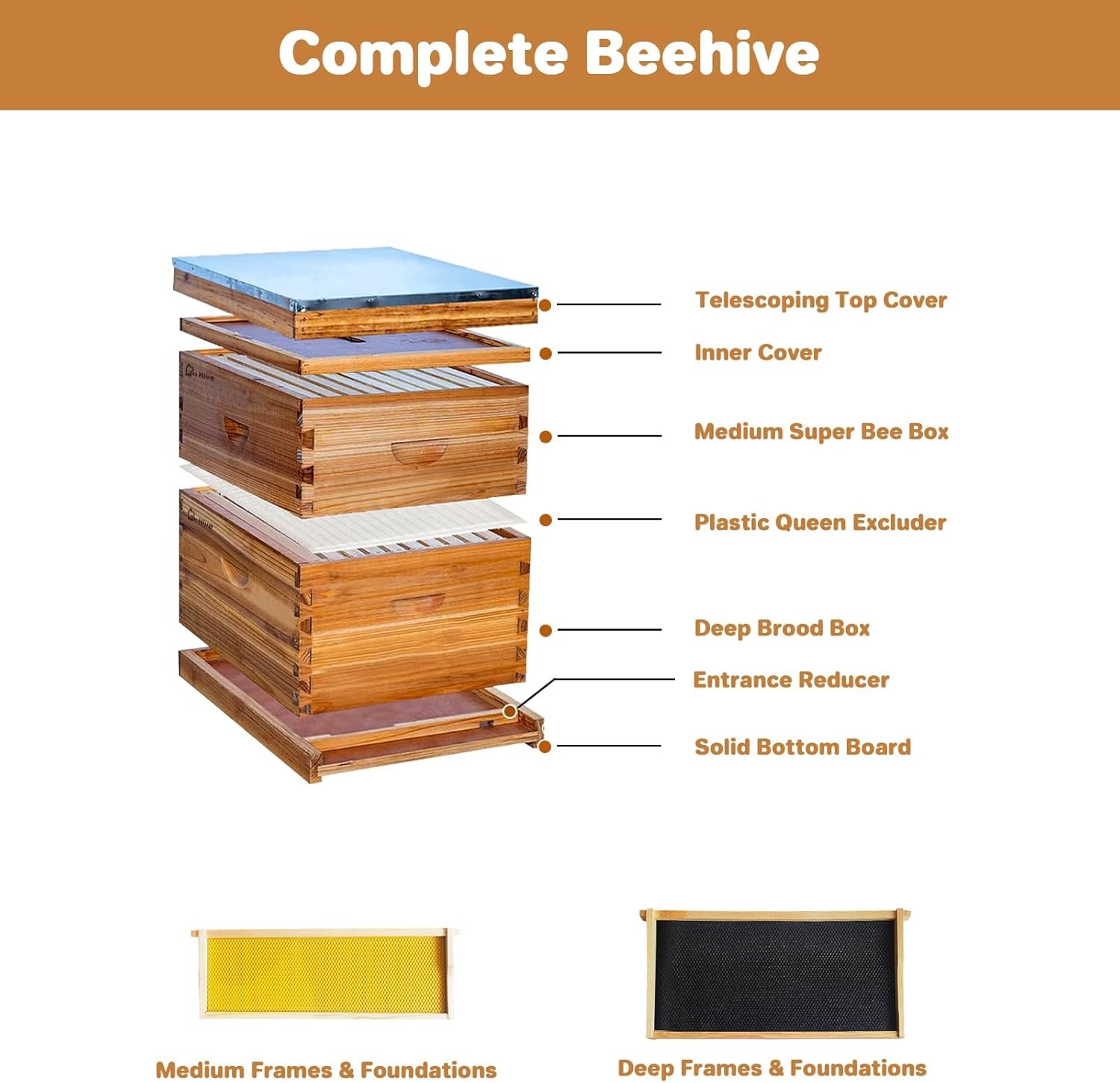Beehive 20 Frame Complete Box Kit (10 Deep-10 Medium) Langstroth Beekeeping