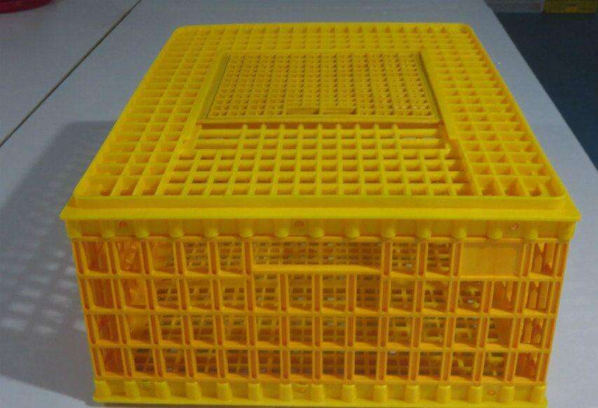 Techtongda Rite Farm Products Poultry Transport Show Case Coop Crate Chicken