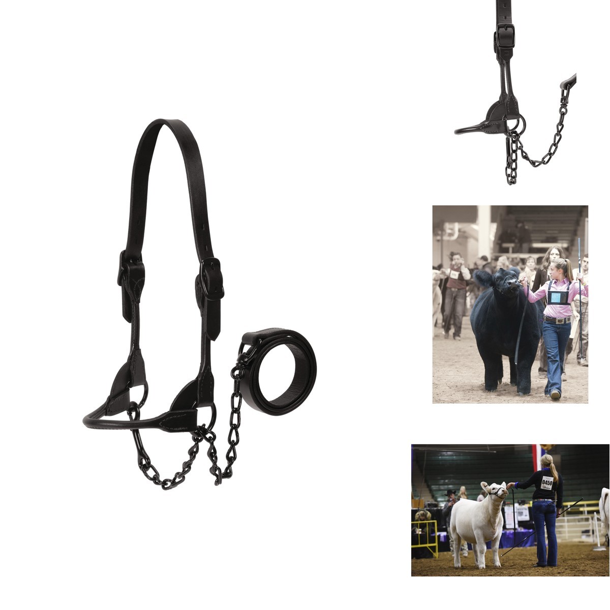 Weaver Livestock Leather Magic Show Cattle Halter Adjustable Modern Style Cow