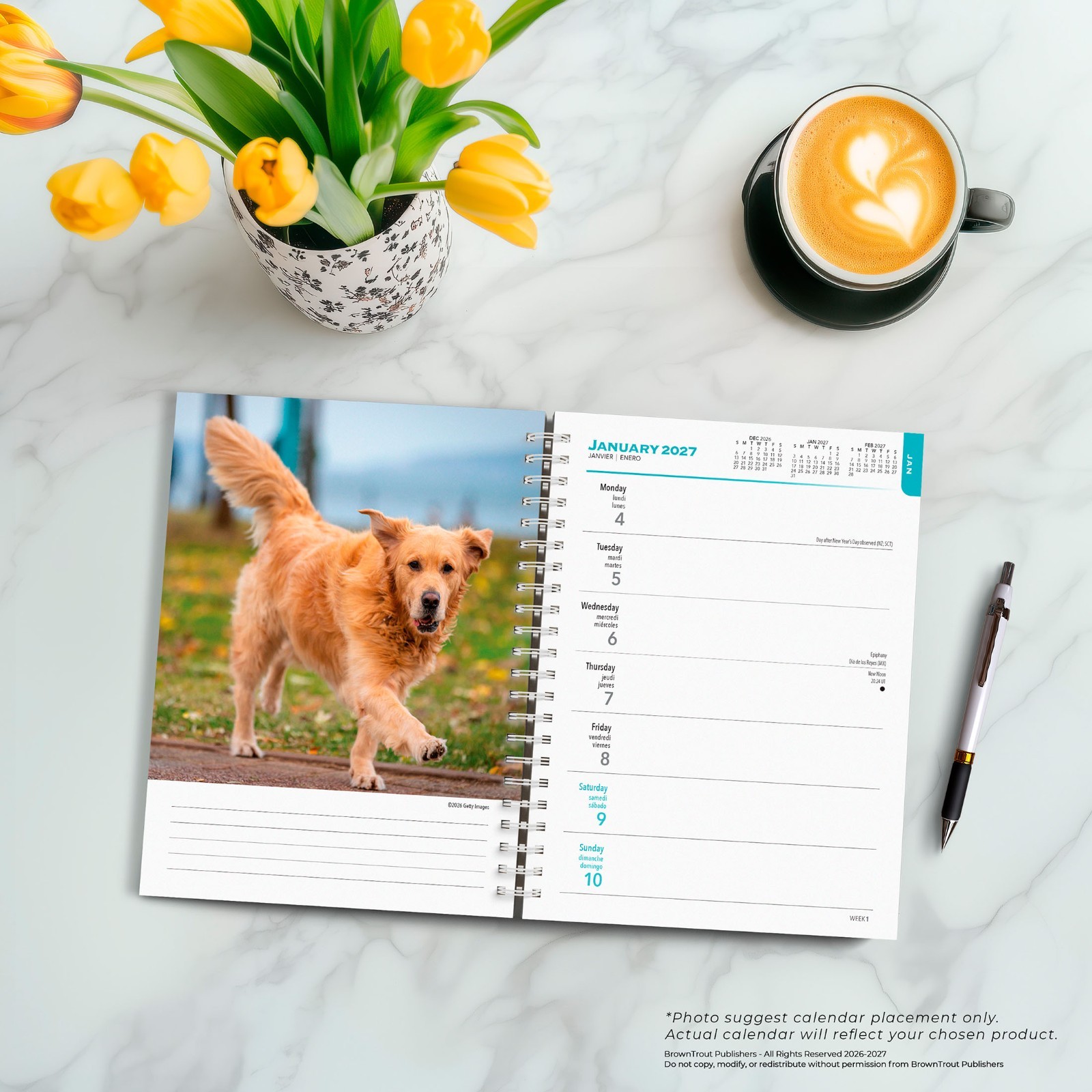 Golden Retrievers | 2027 6×7.75″ Spiral-Bound Wire-O Engagement Planner Calendar