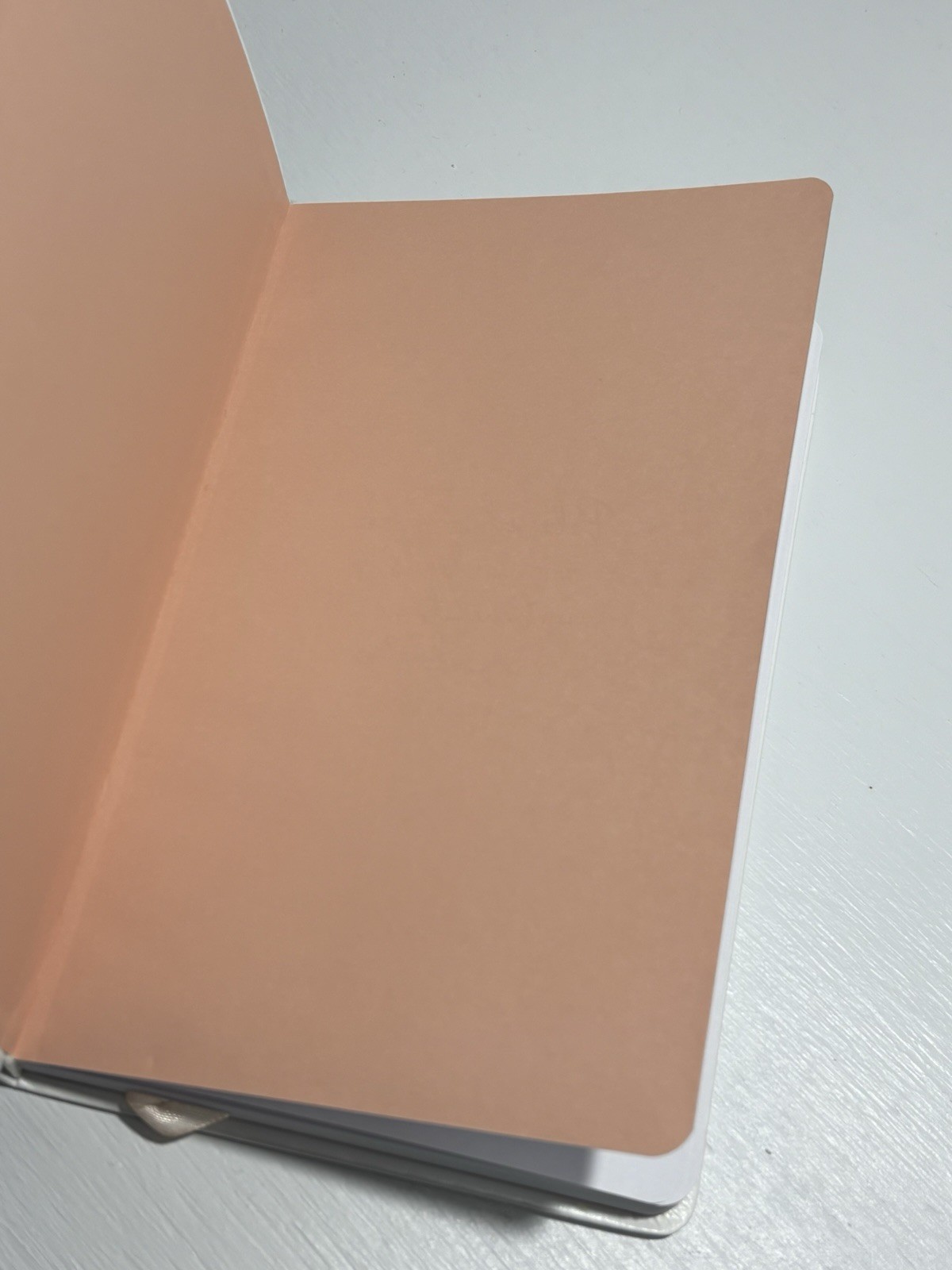 Olkening Press She Is more Precious Than Jewels Journal Notebook with Bookmark