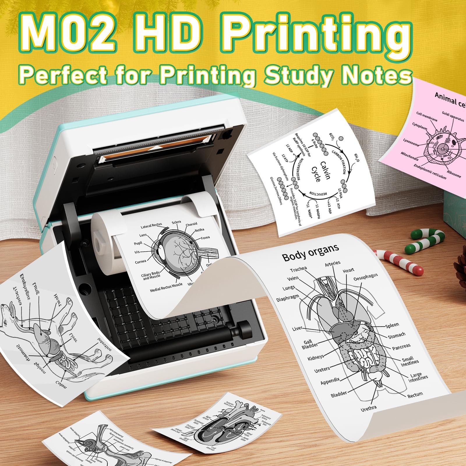 Phomemo Mini Sticker Printer Mini Printer Sticker Maker Machine M02 Print Pods