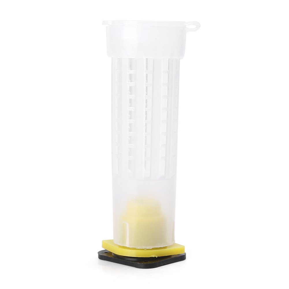 Beekeeping Rearing Cup Kit Queen Bee Cages Beekeeper Equipment Tools ff 10 PCS