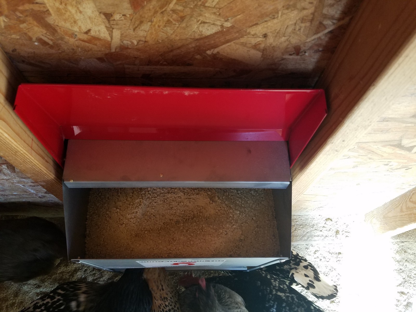 Duncan’s Poultry 50 LB High Capacity Chicken Wall Feeder Hinged Lid Made in USA