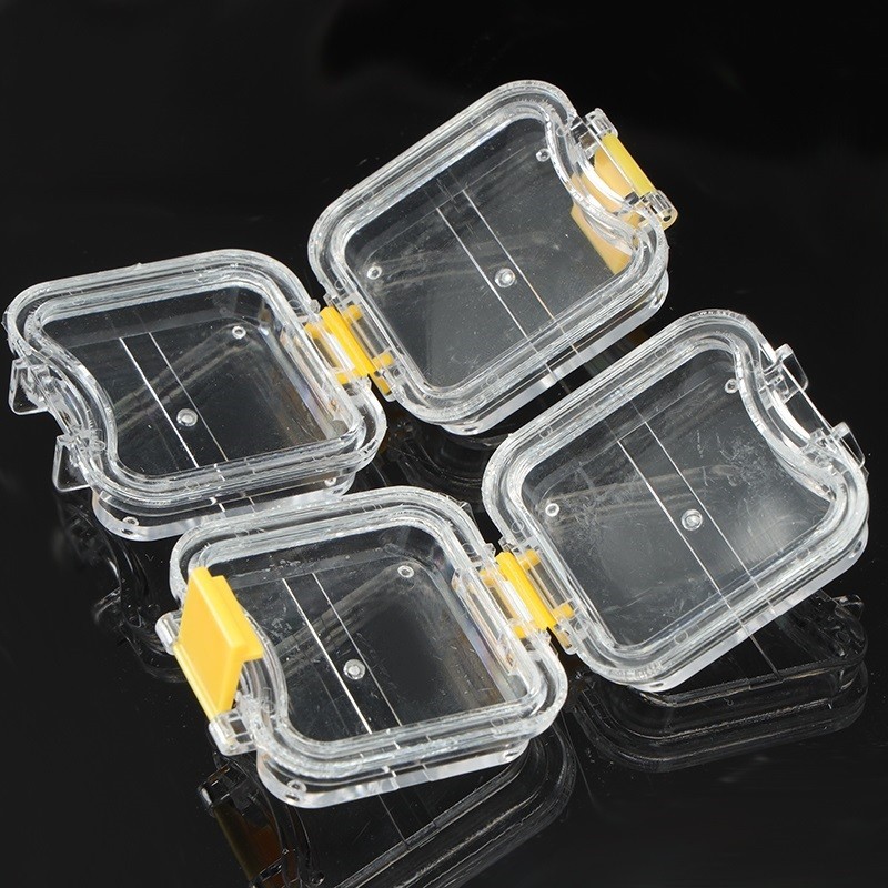 20pcs Denture False Teeth Membrane Case Container Hinged Display Box Jewelry USA