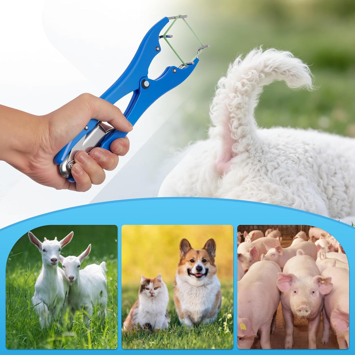 100Pcs Castration Bands and Goat Banding Kit, Stainless Steel Jaw Castration Too