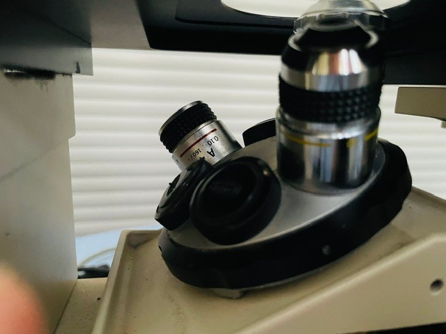 Olympus IMT-2 Inverted Phase Contrast Microscope
