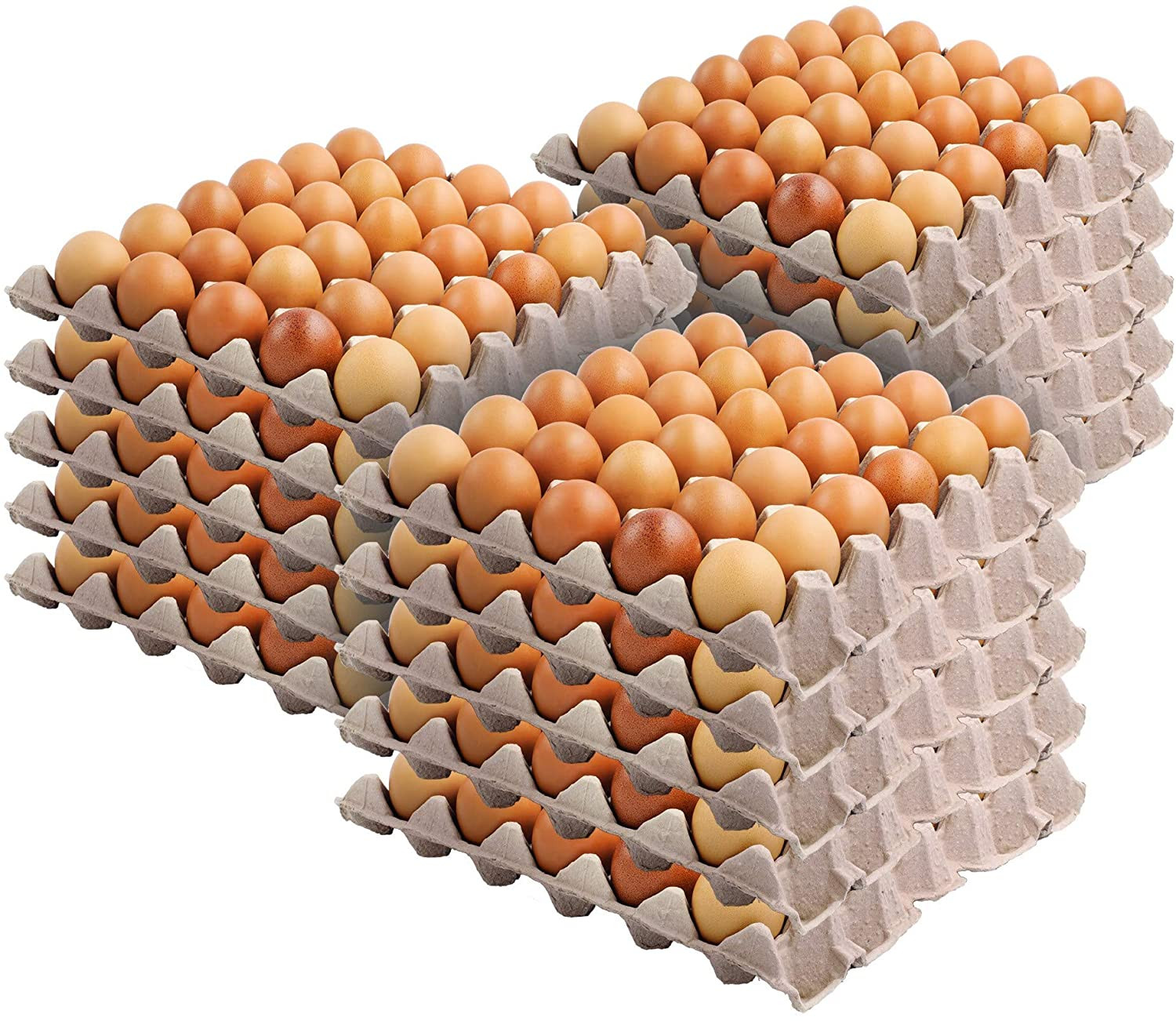 30-Cell Egg Crates (15 Pack) – Recyclable & Stackable Pulp Fiber Egg Flats