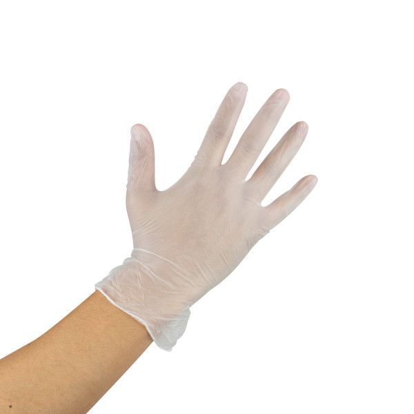Karat Vinyl Powder-Free Gloves (Clear) – X-Large – 1,000 ct, FP-GV1009