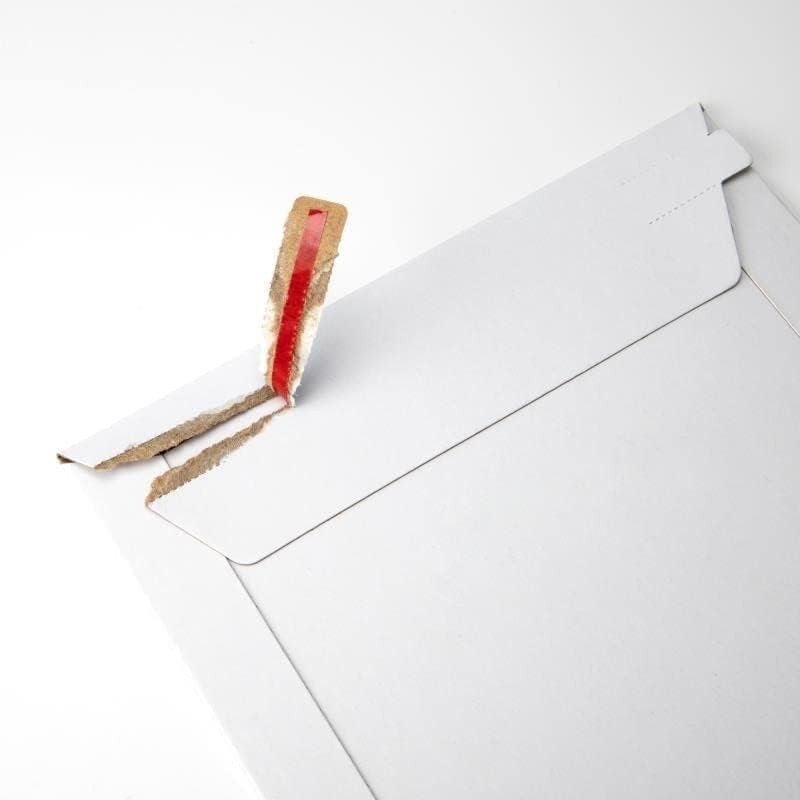 Proline 6 X 8 Self Seal Rigid Photo Shipping Flats Cardboard Envelope Mailer