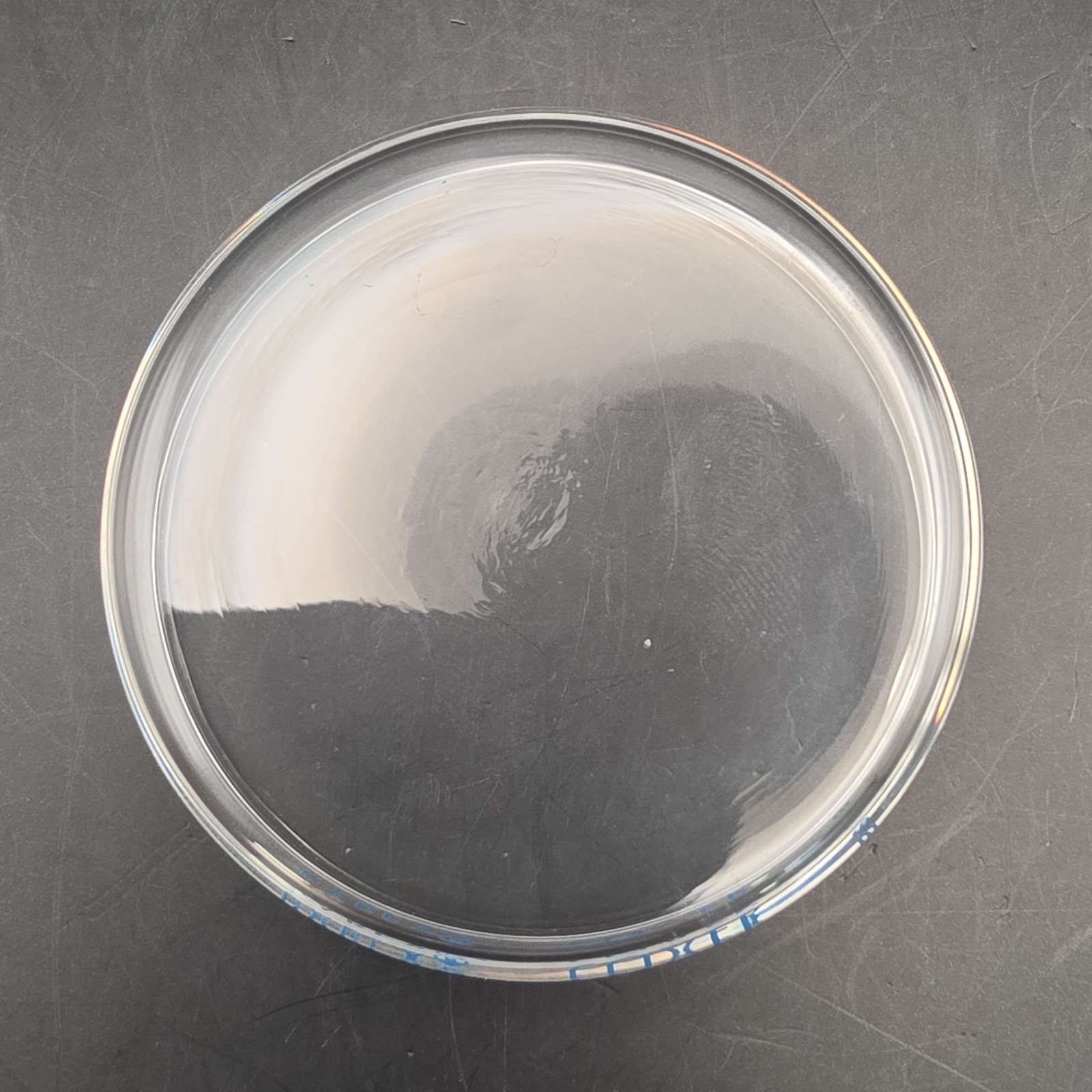 Vintage Corning Pyrex 100mm Glass Petri Dish Cover Only Blue Lettering 3160-101C