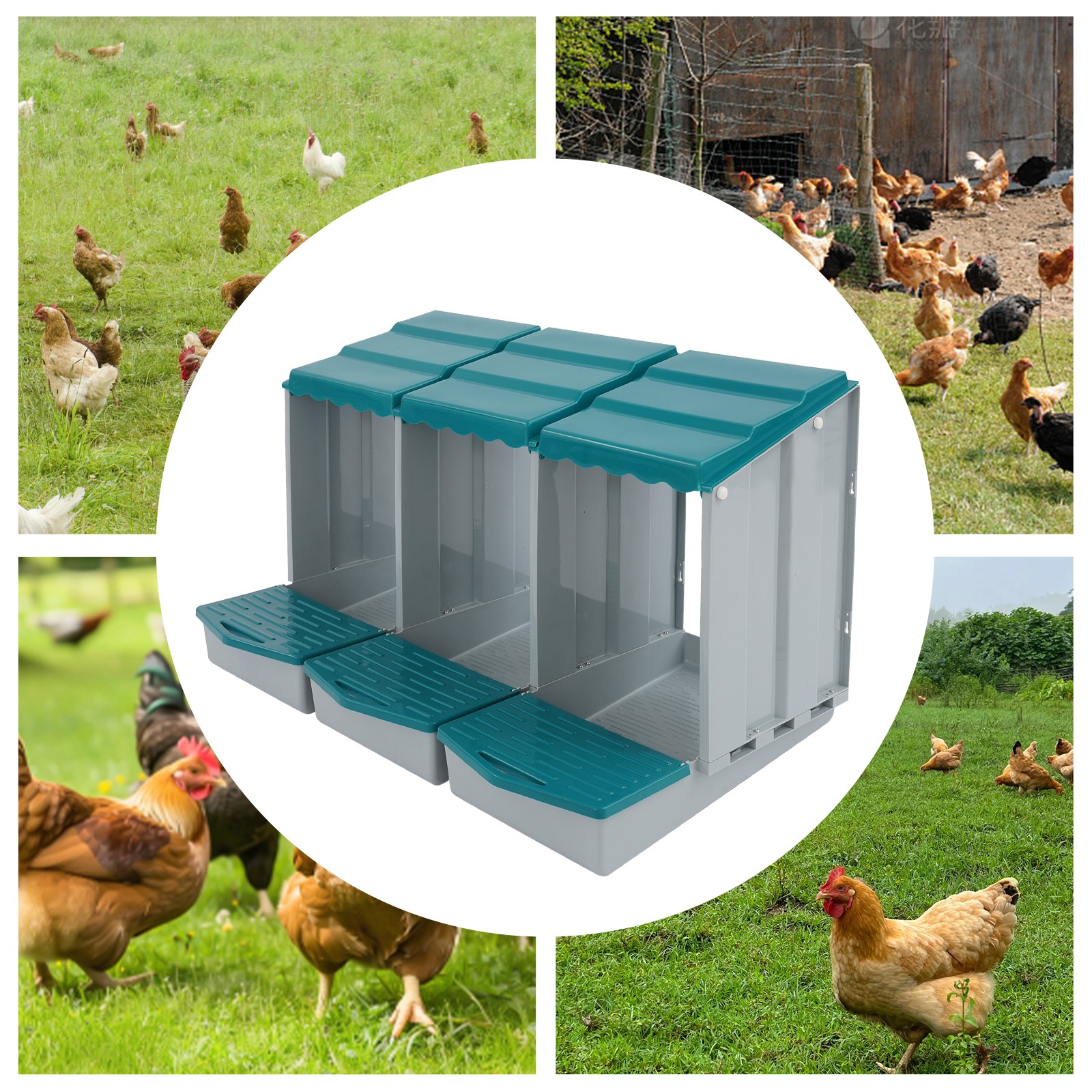 Chicken Nest Boxs, 3-Compartment Chicken Nesting Box, Chicken Laying Box with Eg