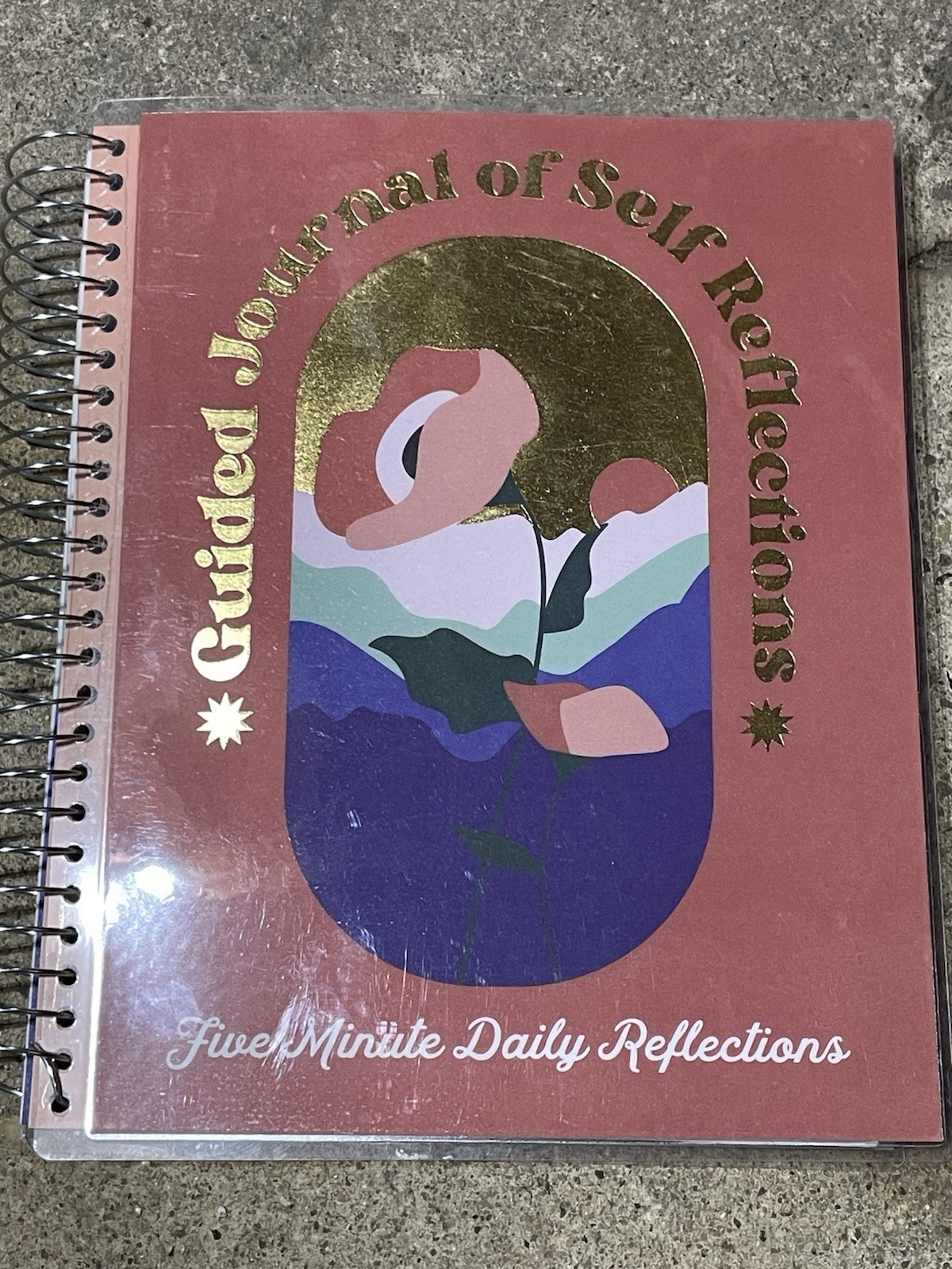 Guided Journal Daily Reflections by Pembrook 12 Months Undated 8×9 Spiral