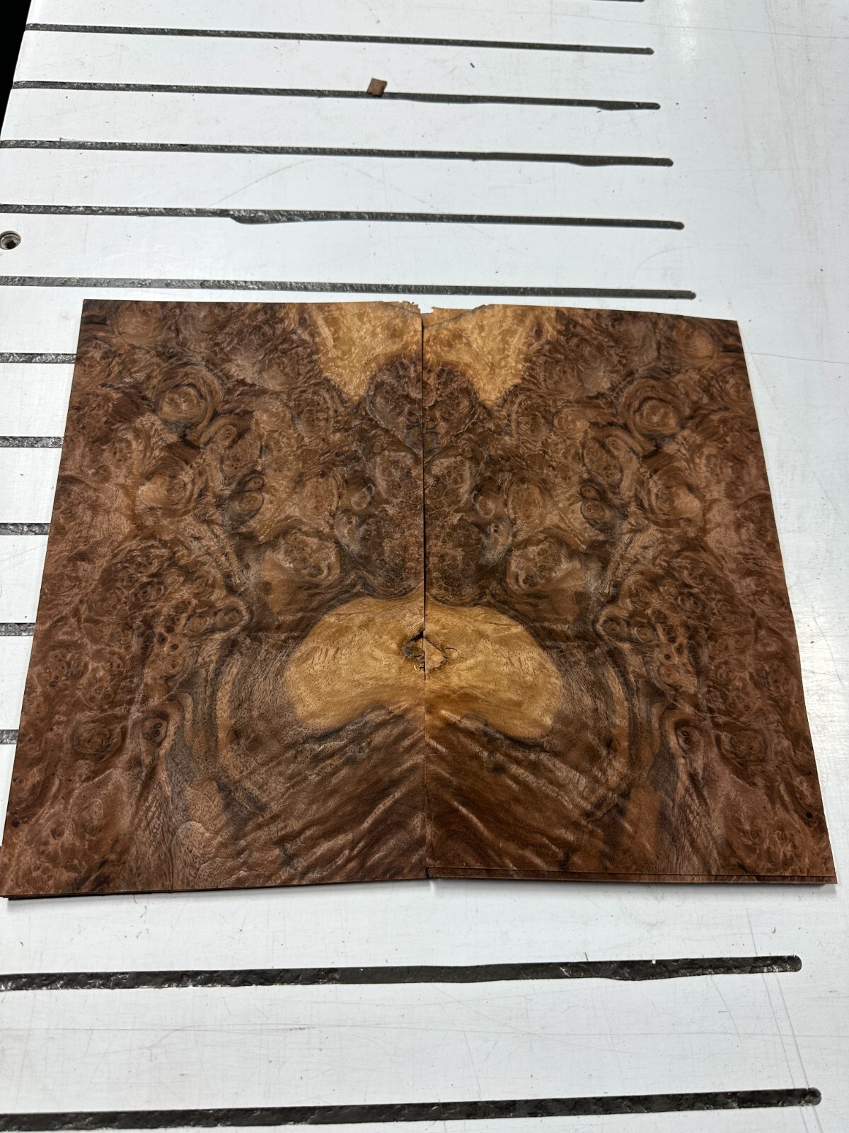 Walnut Burl Raw Wood Veneer 2 sheets 11» x 7» 48K