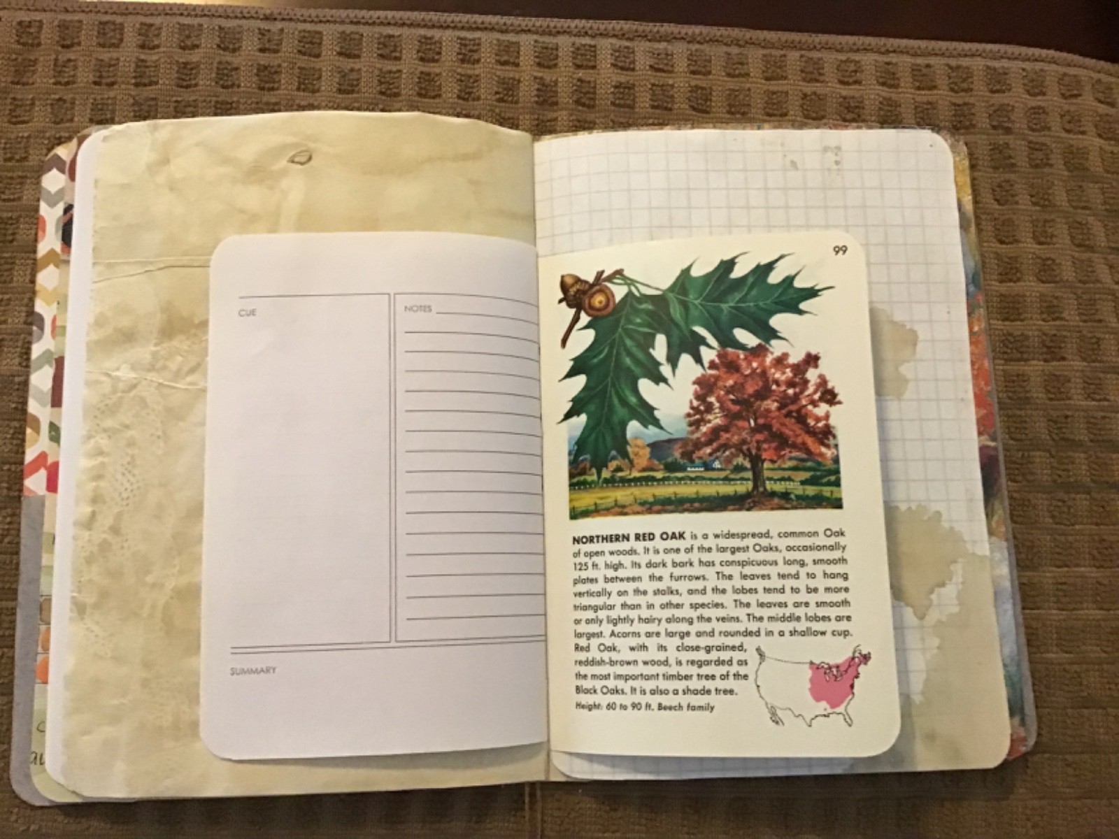 Handmade Junk Journal Naked Junk Journal 8” x 6” Deer Print Card Stock Cover