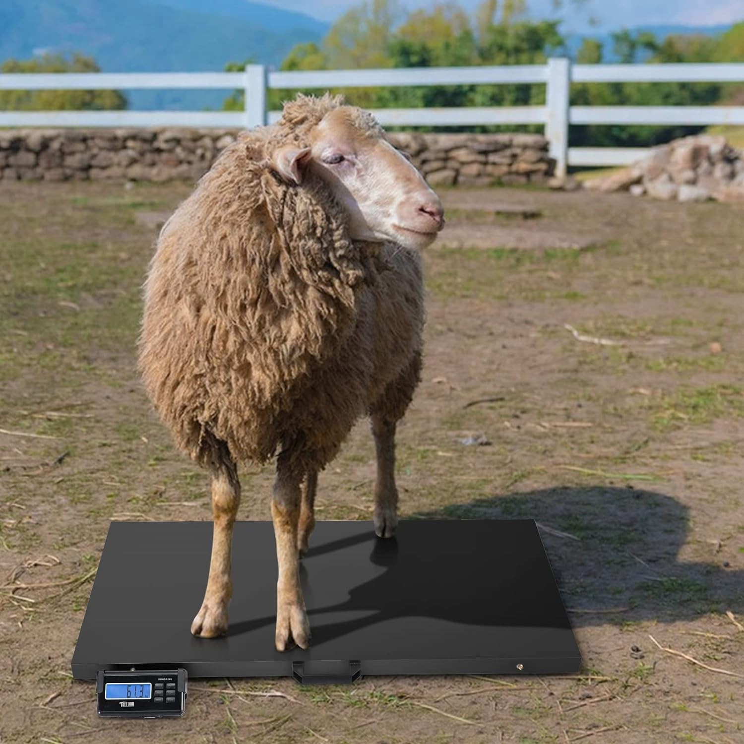 Heavy Duty 1100lbs Digital Livestock Scale Large Pet Dog Sheep Goat Scale Black