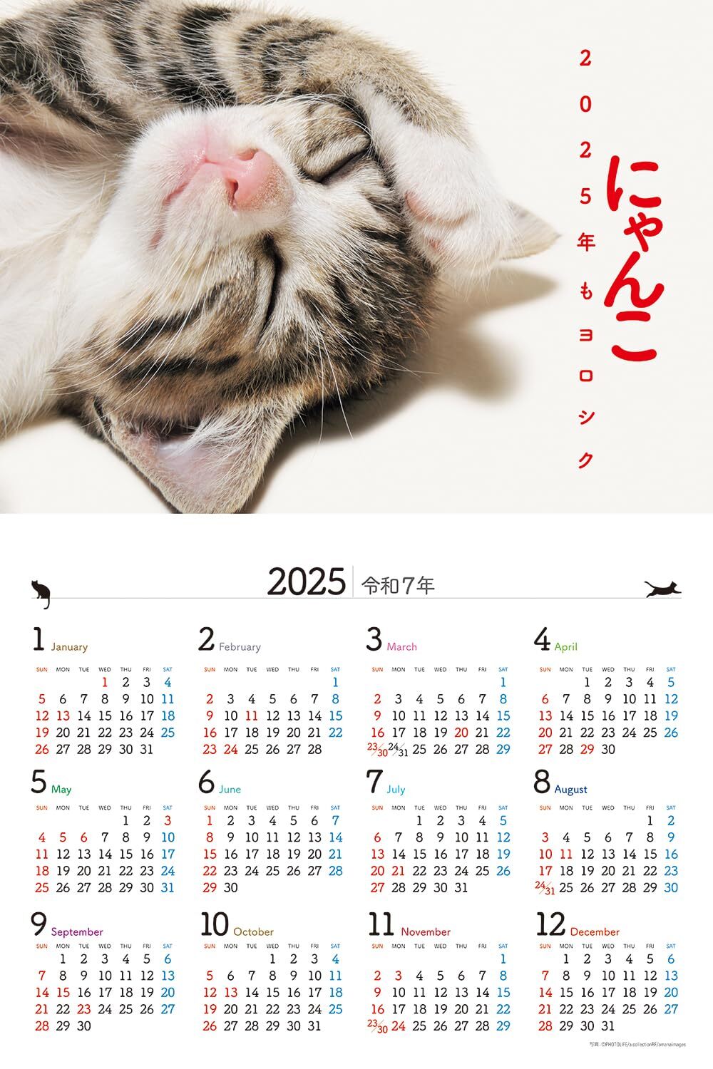 JTB Calendar Nyanko 2024 Wall Hanging Cat (Calendar 2024)