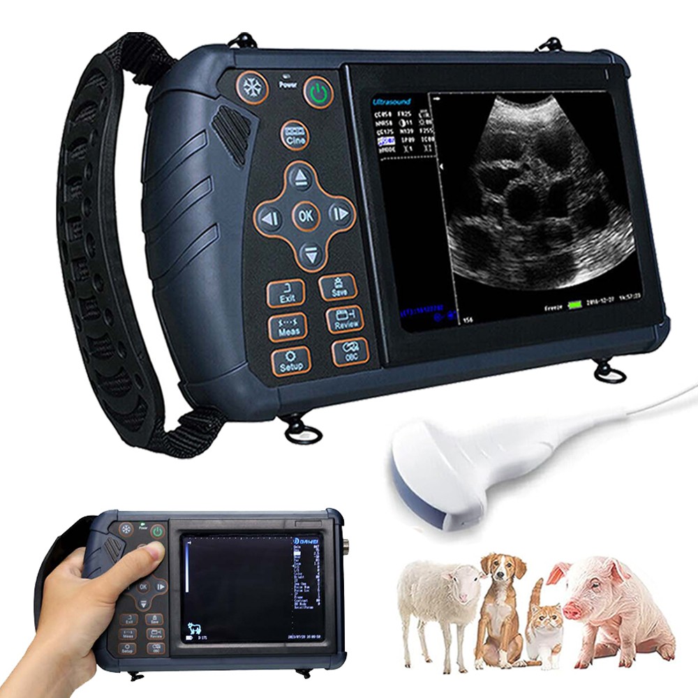 DAWEI Professional Veterinary Ultrasound Machine with Rectal probe,Convex probe