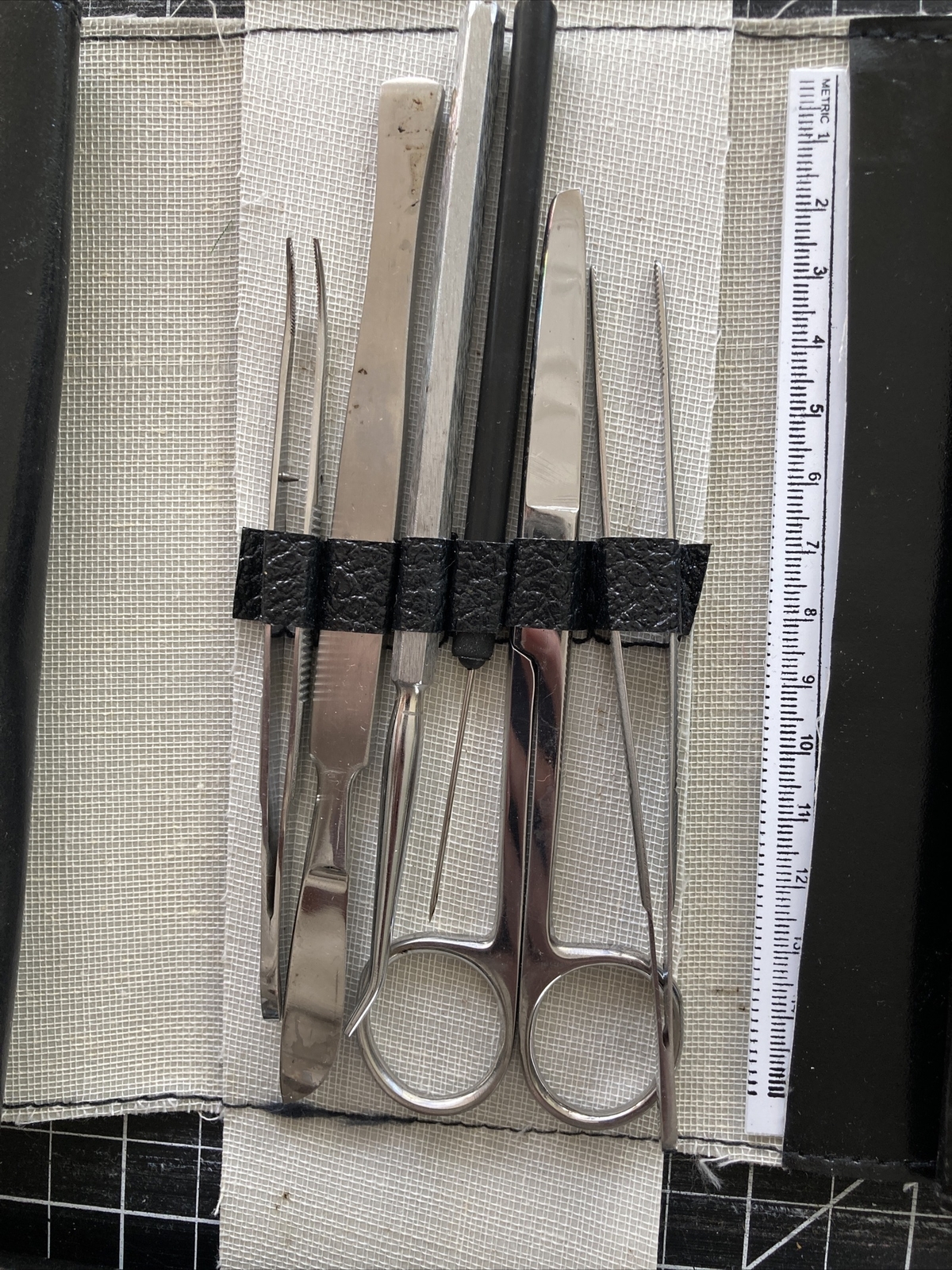 Student Dissecting Instrument Kit Lot of 3 (variable assortments) Forensic