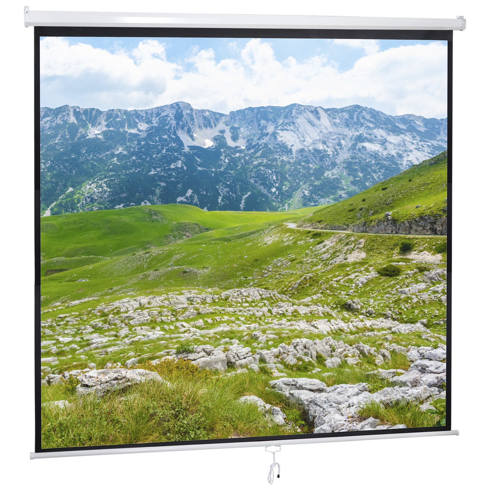 120» Projector Screen Projection Screen Manual Pull Down HD Screen 1:1 Format