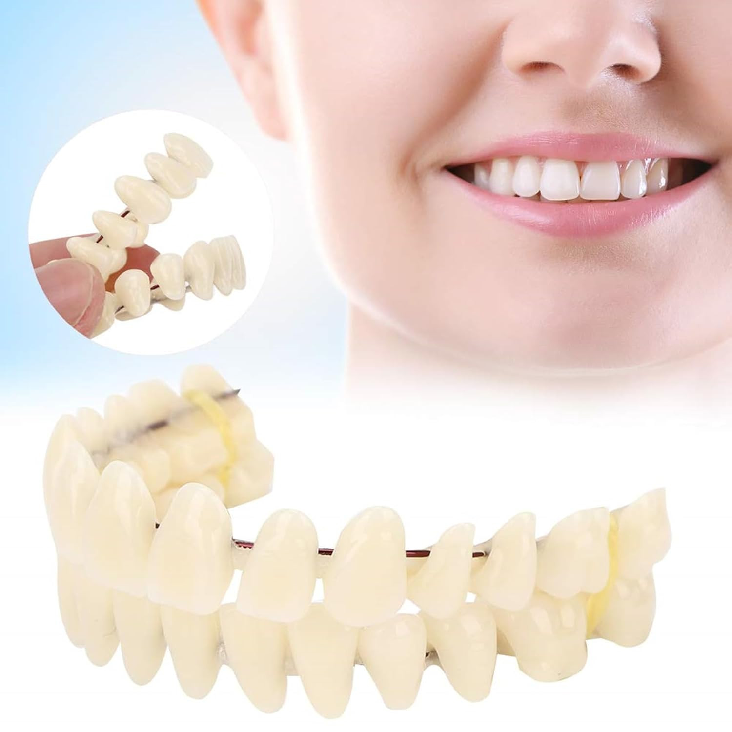 2Pack /20 Set Resin Denture False Teeth, Teeth Teaching Model Resin Denture US