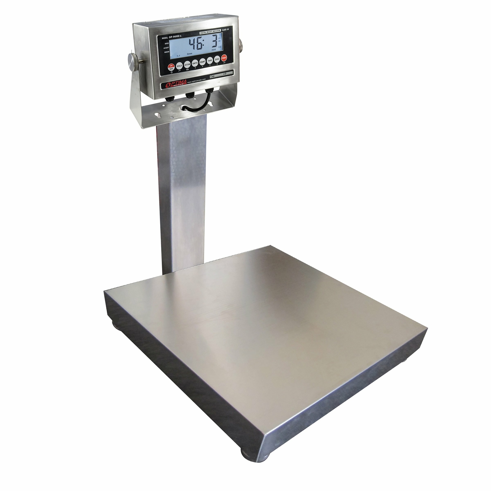 Ntep (12”x12”) Legal Trade Stainless Steel Washdown Bench Scale 100 Lb x 0.02 Lb