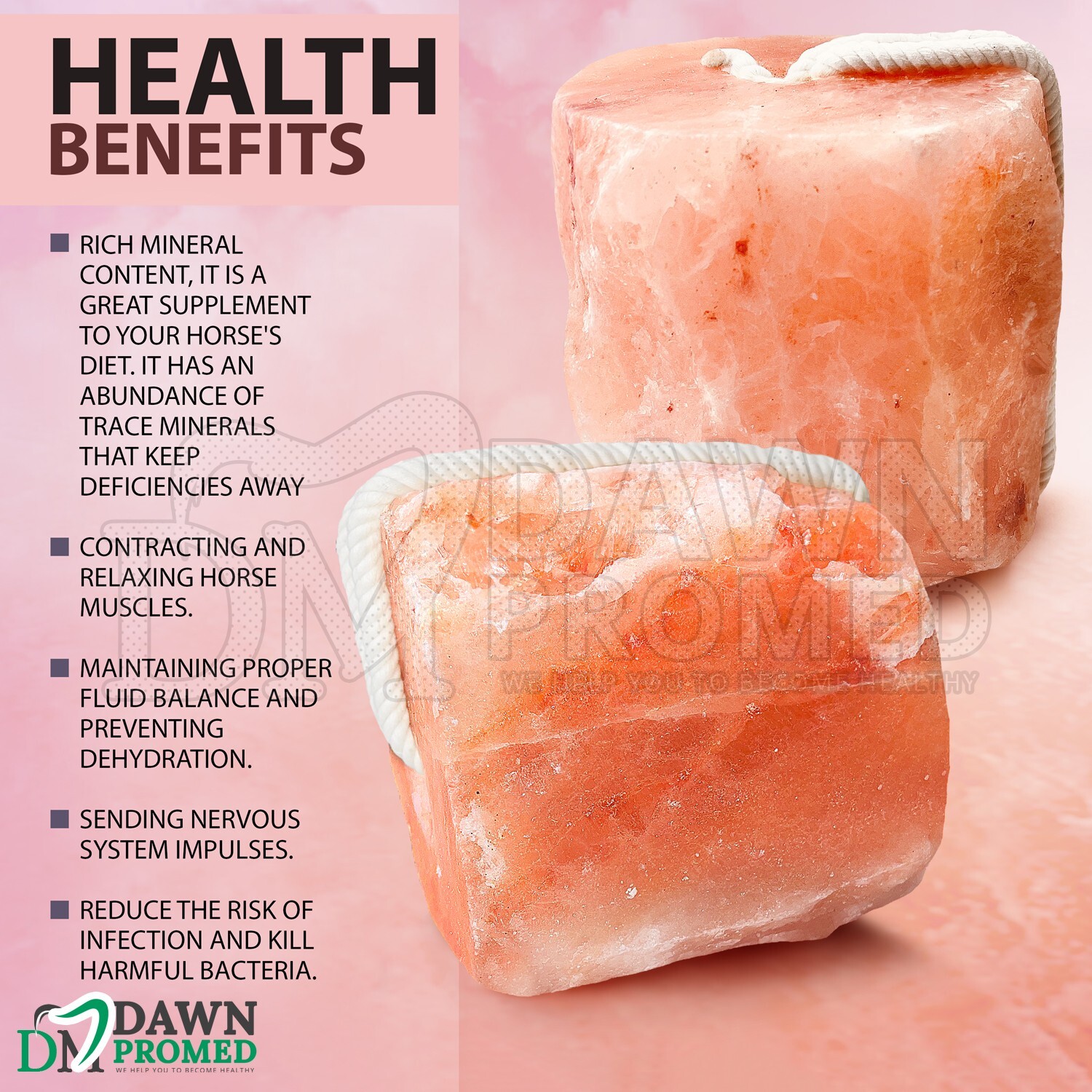 8 Pcs Himalayan Nature 100% Natural Salt Lick Block for Animal Wellness 6.5-8 Lb