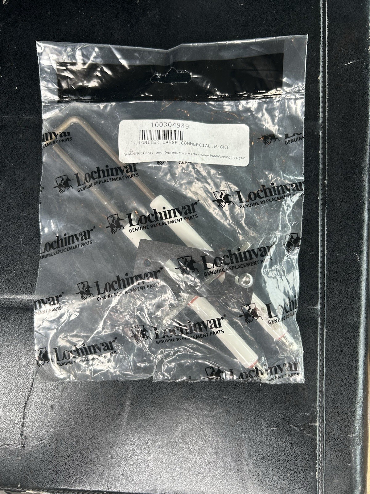 100304989 Lochinvar Ignitor W/ Gasket OEM 100304989