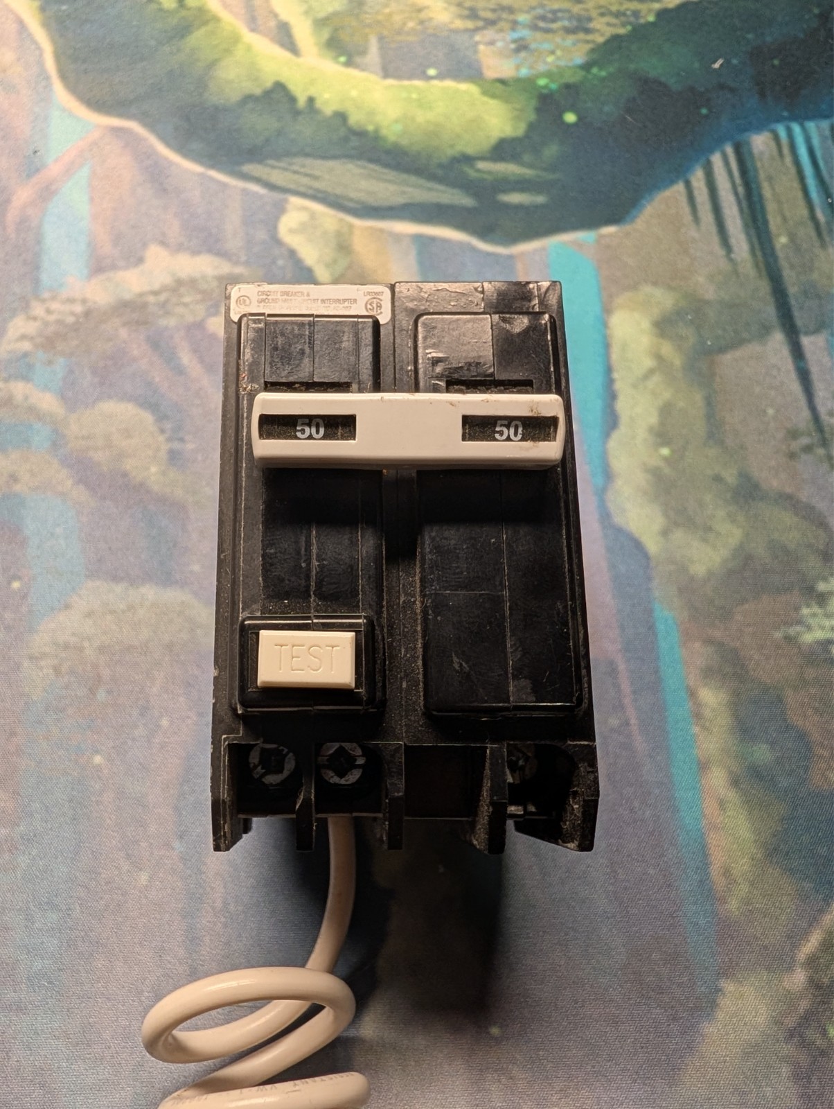 Eaton QBGFT2050 Circuit Breaker 50 Amp Bolt-On Ground Fault Self Test