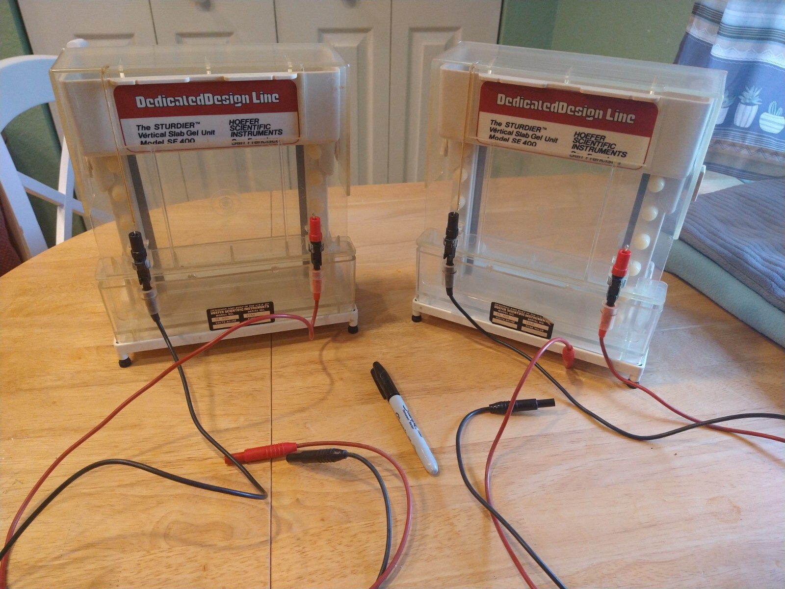 Gel Electrophoresis and ImmunoBlot Devices