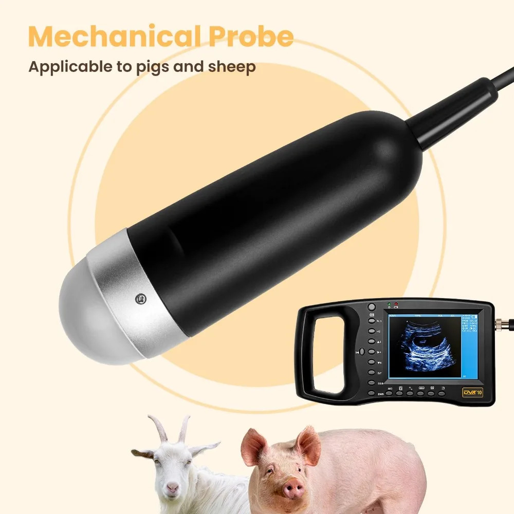 Veterinary Ultrasound Machine Lightweight Portable Design for Pregnant Animal