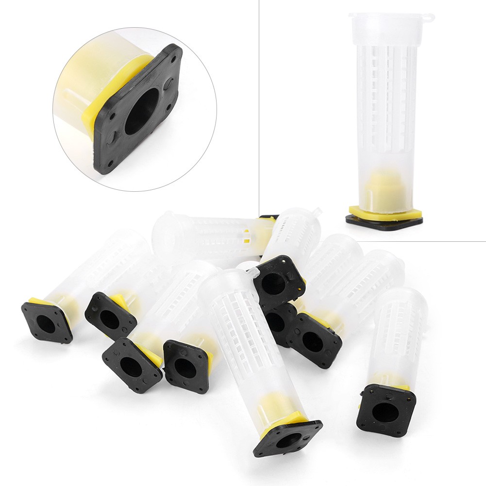 Beekeeping Rearing Cup Kit Queen Bee Cages Beekeeper Equipment Tools ff 10 PCS