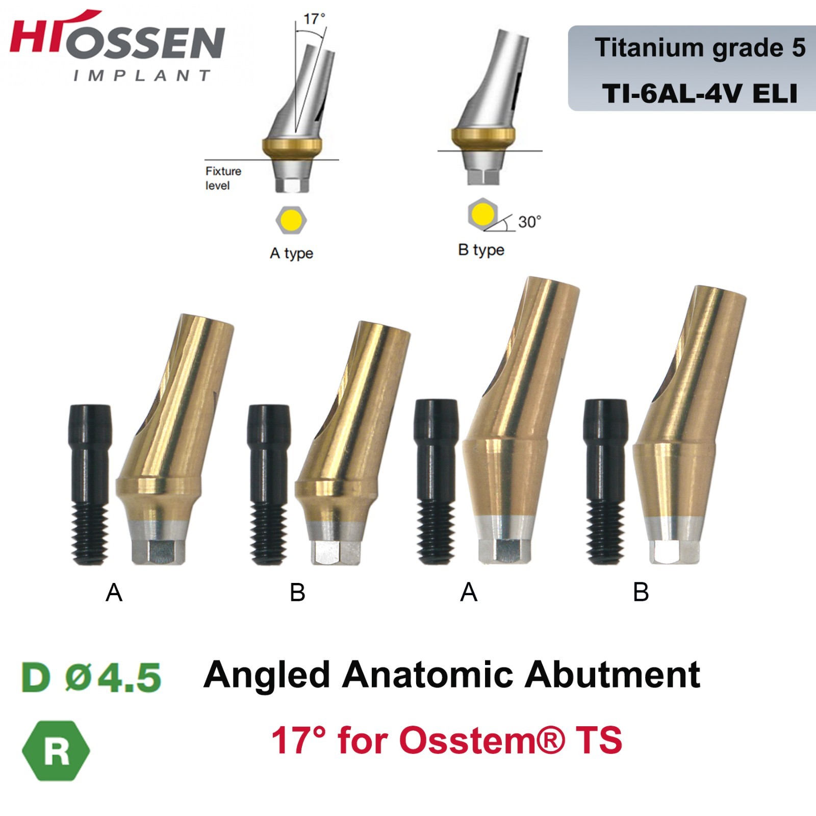 US 17° Angulated Abutment Regular Hex A/B Type For Osstem TS Regular Platform Ti