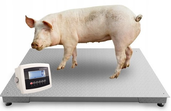 Animal Scales Scales Pig Scales Livestock Scales Platform Scales 0.8×1.5m Floor Scales 3t