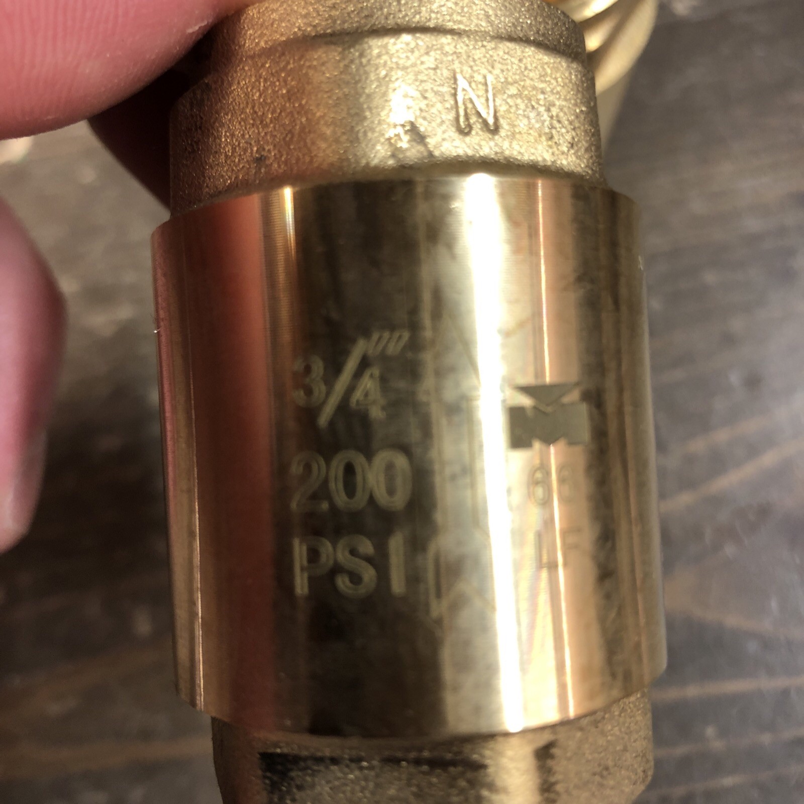 PROLINE BRS SPRING CHECK VALVE 3/4FIP 200 PSI (2-Pack)