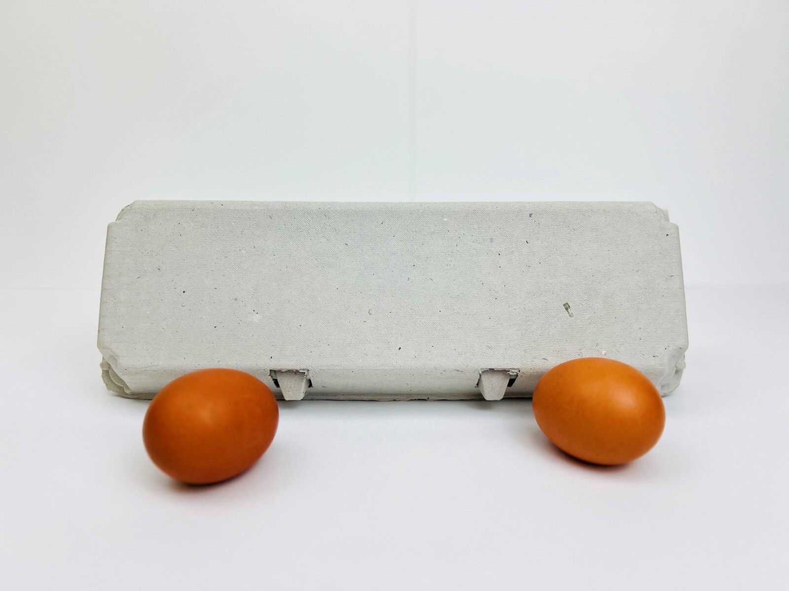 Non-Printed Egg Carton – 100 units