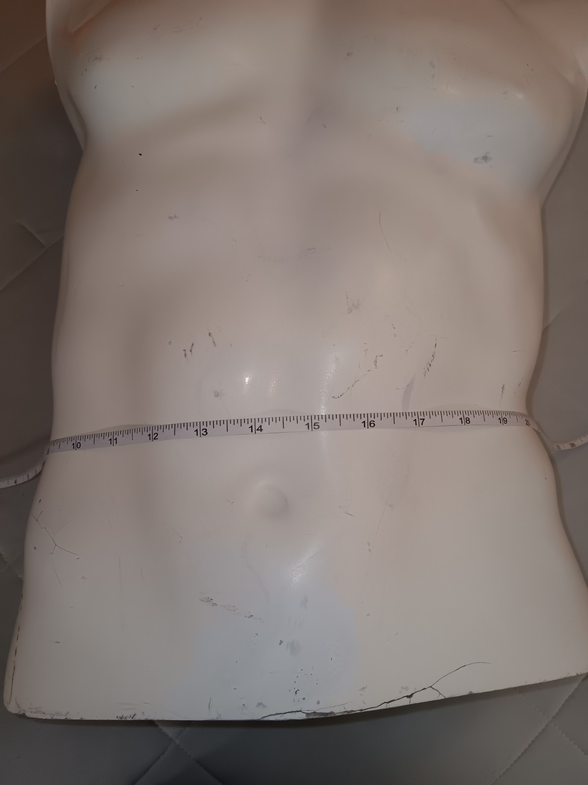 Male Egghead Torso Mannequin – Armless Display Form – Mannequin Like Display