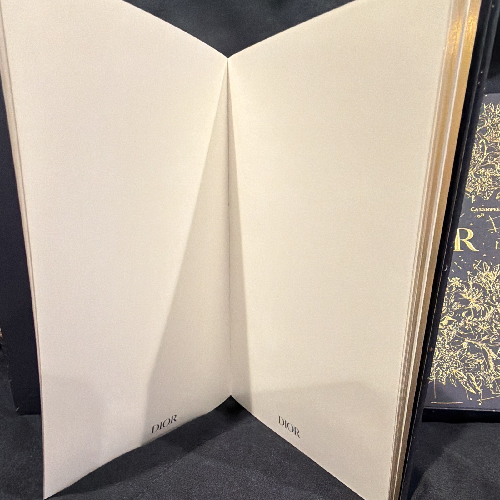 Dior La Grande Coursier Hardcover Blank Journal/Notebook Dark Blue in BOX