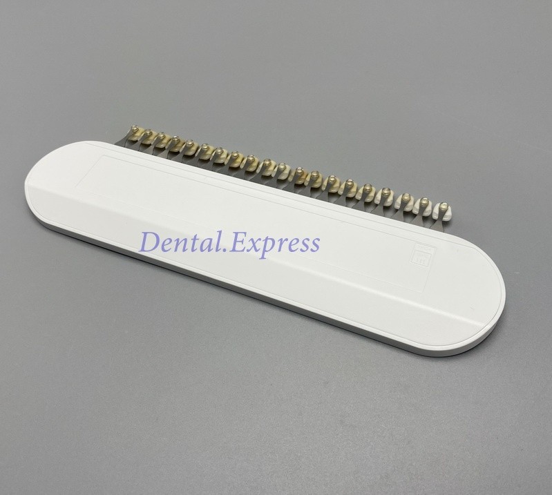 Ivoclar Vivadent Dental Shade Guide A-D 20 IPS or Natural Die ND1-9 Bleach Teeth