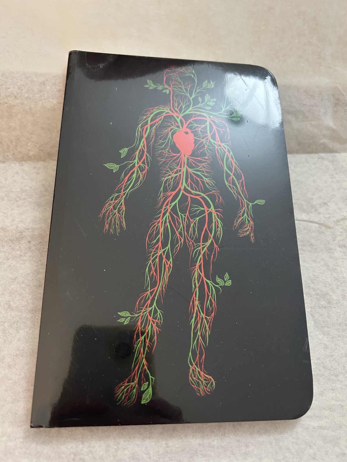 Anatomy Circulatory System Cover blank book journal, note book, copy book