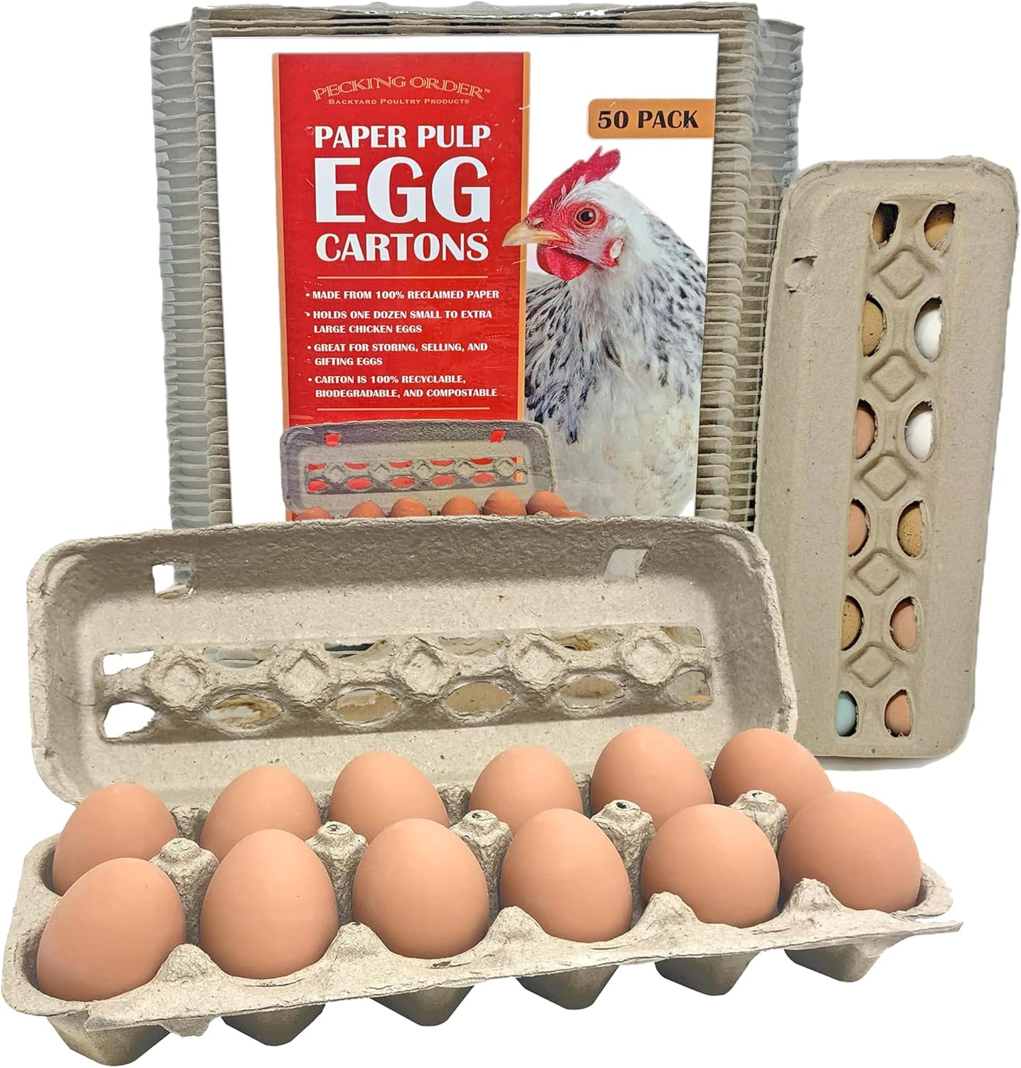 Paper Pulp Egg Cartons – 50 Pack