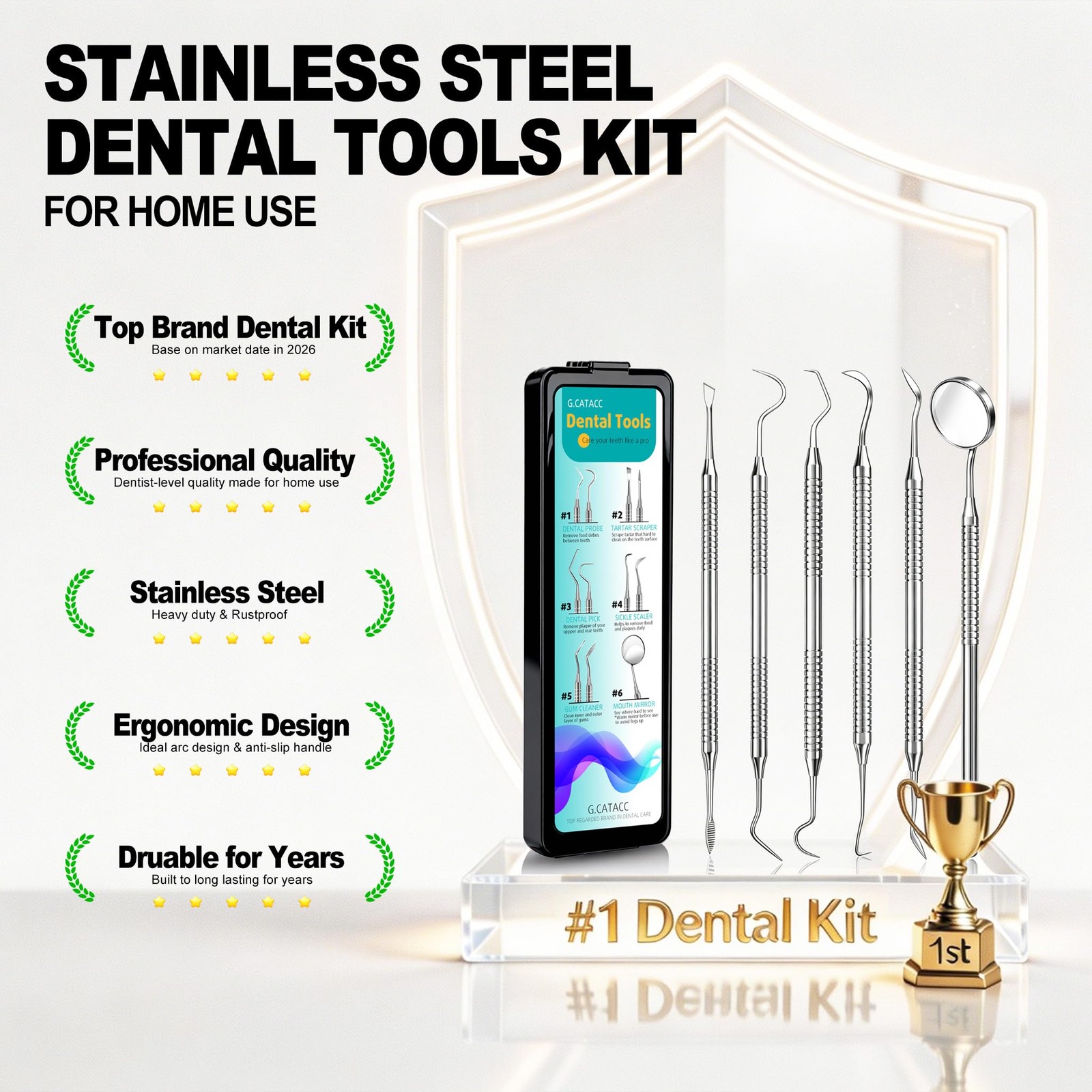 Dental Tools Stainless Steel Teeth Cleaning Kit Plaque Tartar Remover with Case