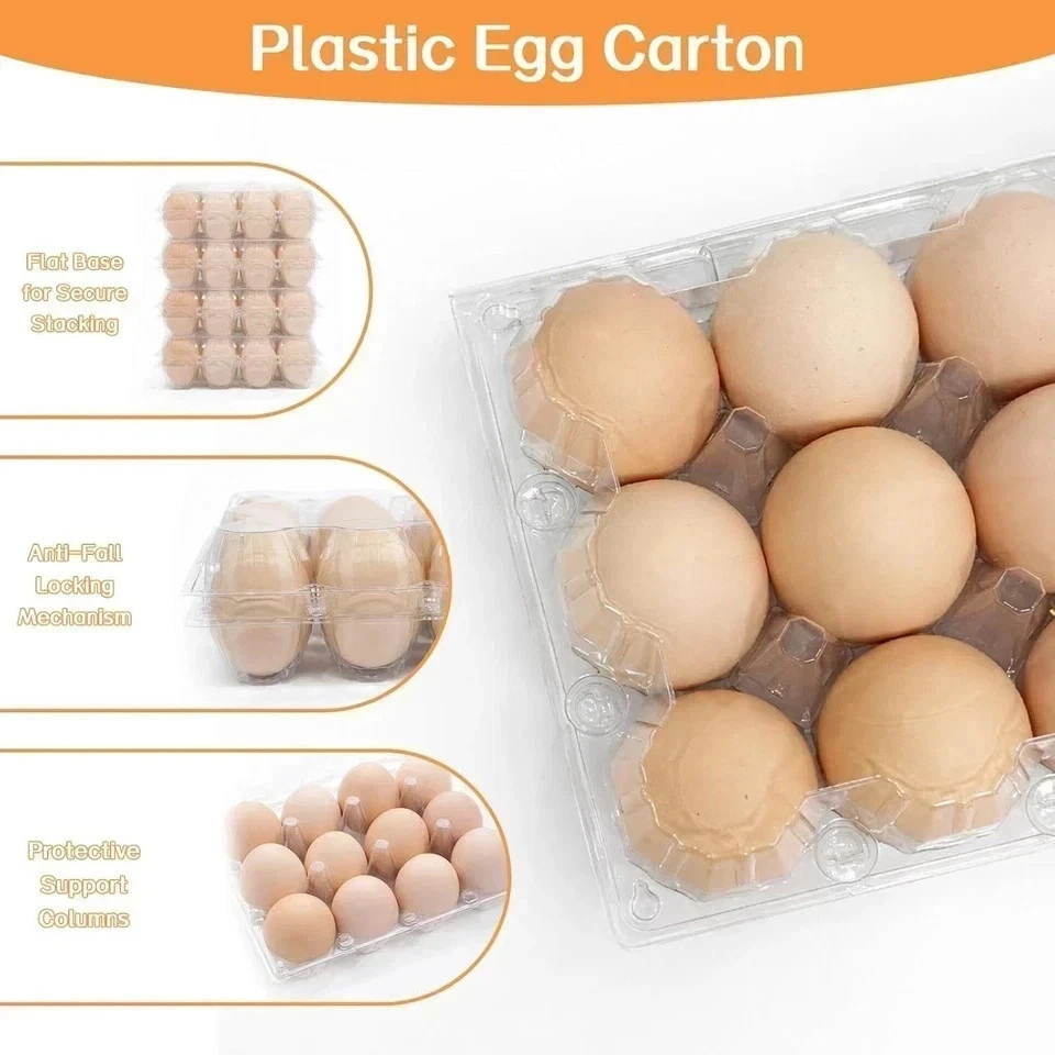 100 Packs Egg Cartons Cheap Bulk Plastic for 12 Eggs Clear Egg Cartons