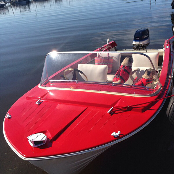 EPOXY RESIN RED GEL COAT 4 BOATS, TOOLING MOLDS, BONDS 2 METAL WOOD FIBERGLASS –