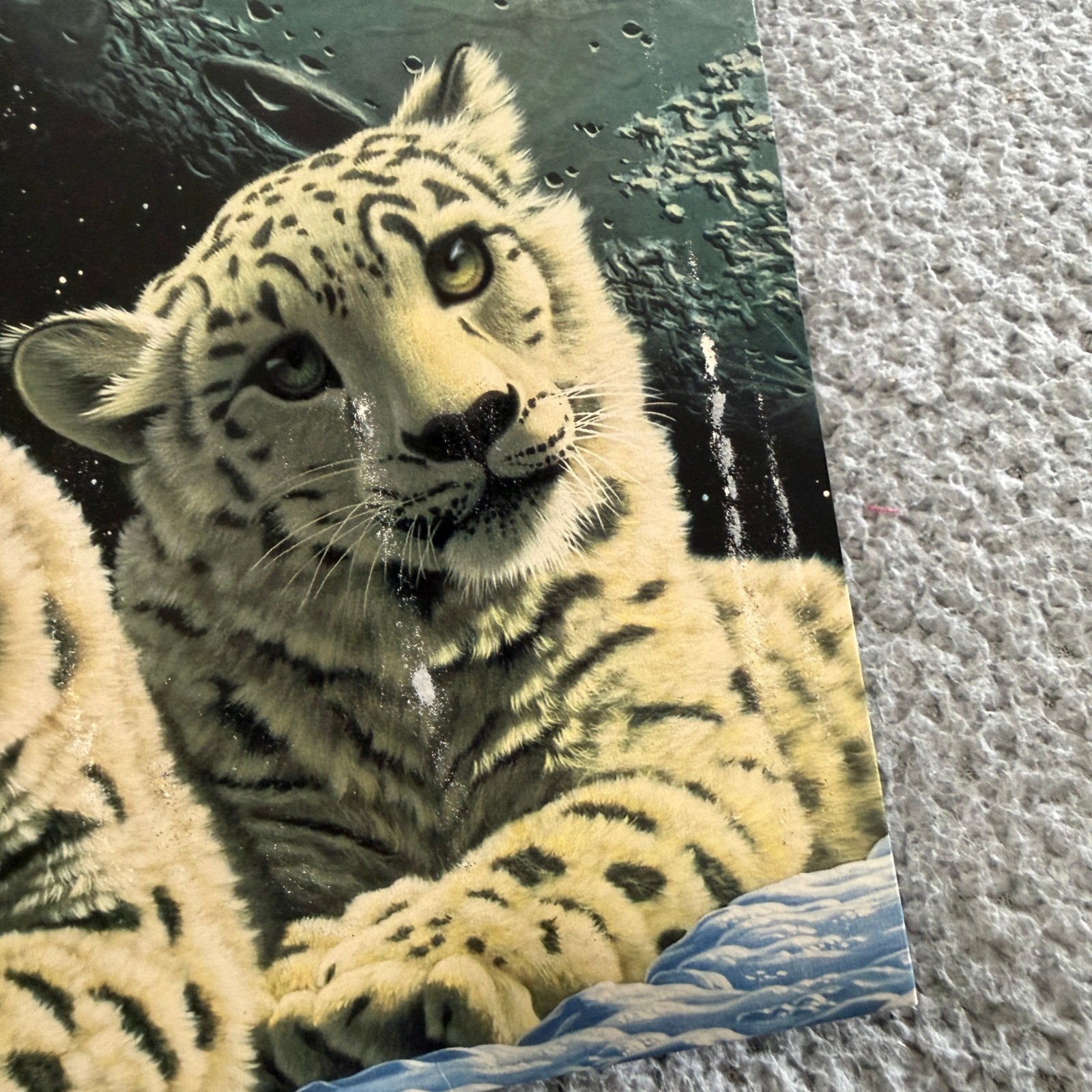 Vintage 1999 Mead Schimmel Snow Leopard Space Moon Portfolio Folders Set of 2