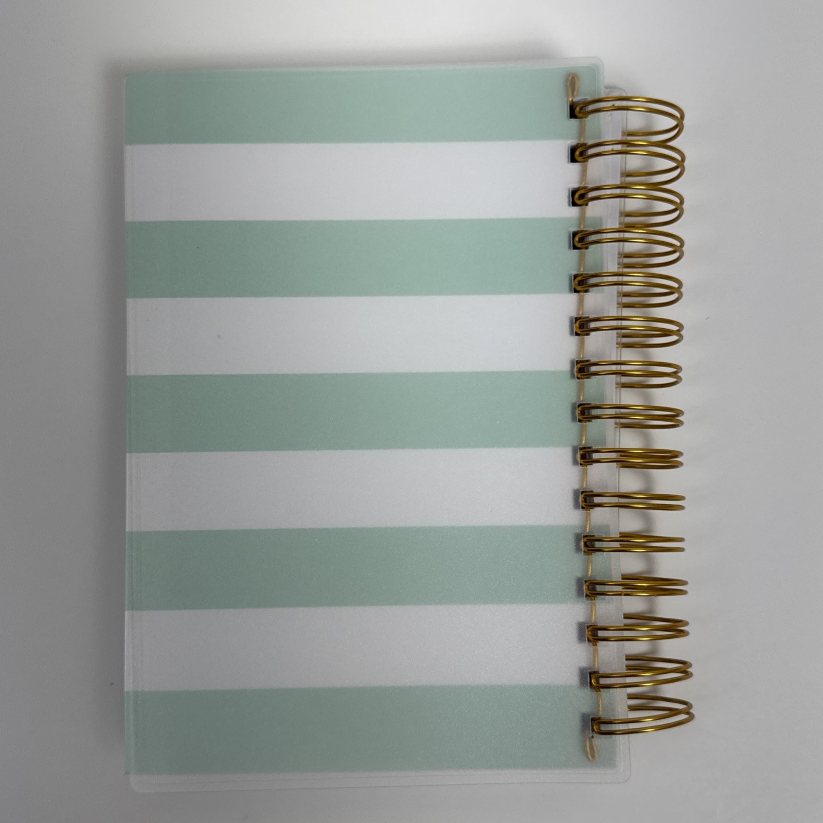 Day Designer 2025 Daily/Monthly Planner 8.15″x6.38″ Wirebound Rugby Stripe Mint