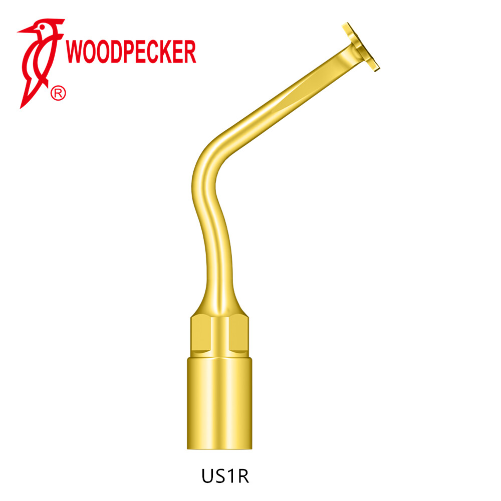 Original Woodpecker U Tips for US-II LED Bone Surgery US1 US3 UC1 UI1
