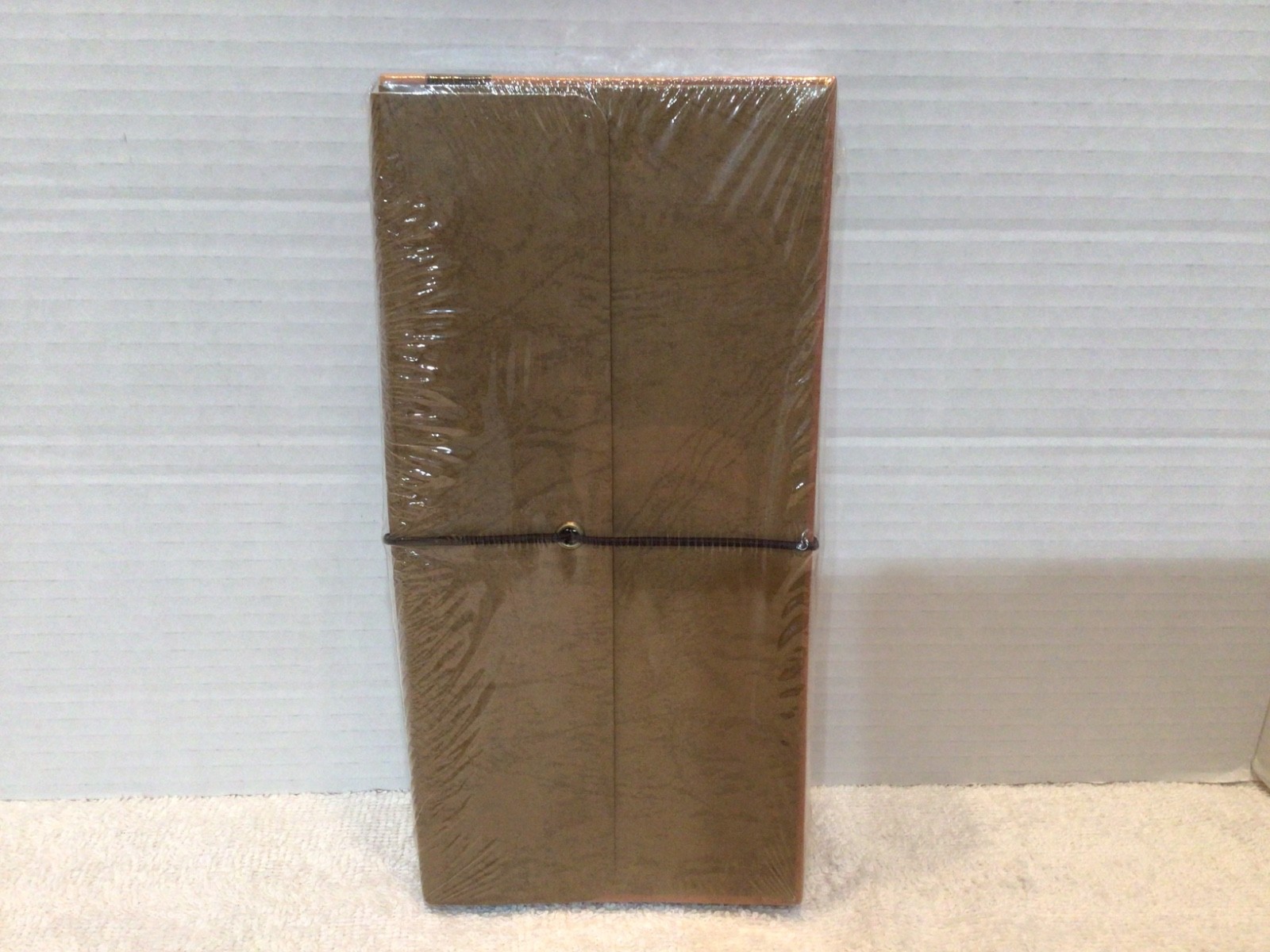Expandable Cancelled Check File 4.5″ x 9.5″ NEW SEALED