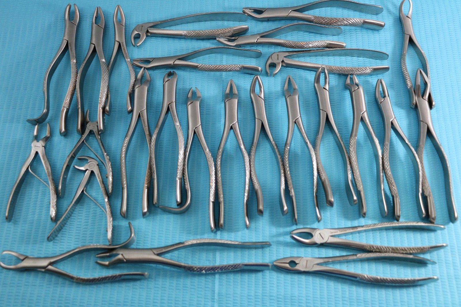 NEW GERMAN STAINLESS 10 EACH EXTRACTING FORCEPS EXTRACTION DENTAL INSTRUMENTS